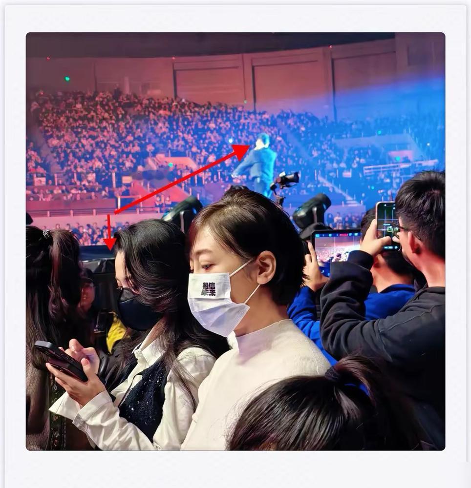 近日，摇滚教父汪峰天津演唱会现场座无虚席，惊喜的是森林北悄然现身人群。35岁的她
