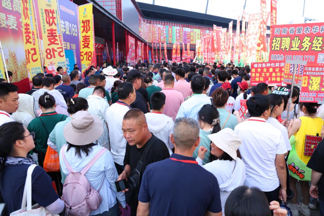 种好粮，选良种！2026河南夏季种子会落地郑州，五大展区全覆盖，抗倒伏、高稳产、
