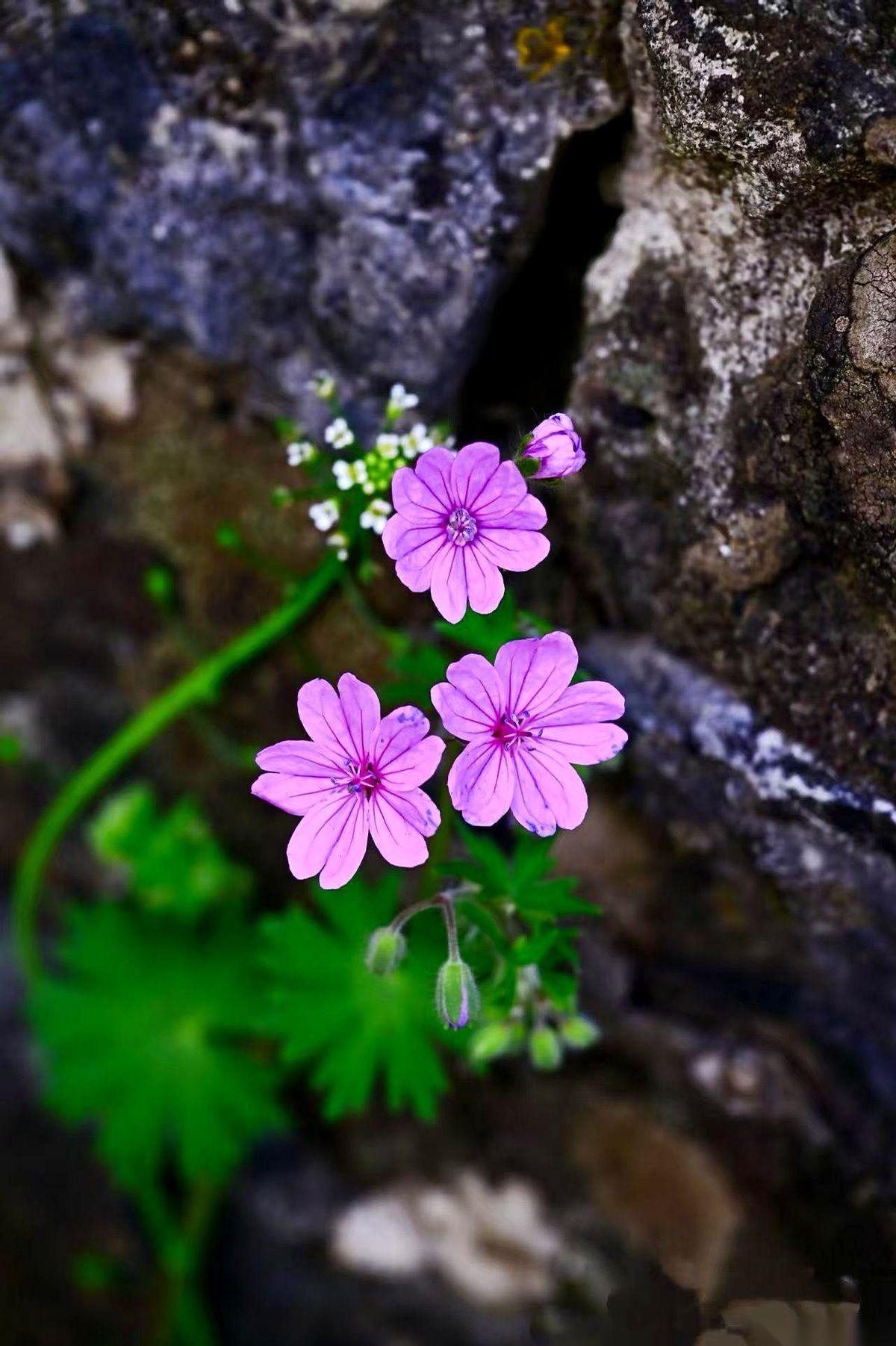 凌晨三点，锁舌“咔哒”一声转动。我从床上坐起，看了一眼时间。这是26岁的外甥女
