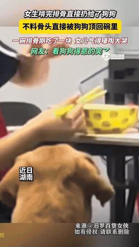 湖南一小女孩啃完排骨上的肉，随手就将骨头丢给了在地下馋的口水直流的小狗，岂料这小