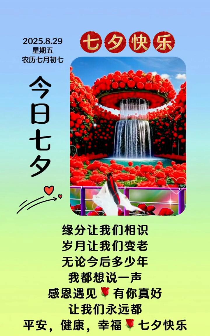 七夕快乐。2025.8.29，星期五，农历七月初七。今日七夕，缘分让我们相识，