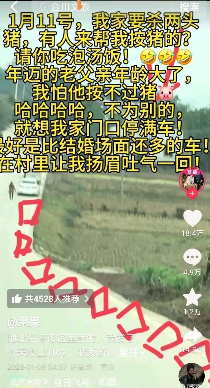 2026年1月11日，重庆合川区云门街道庆福村热闹非凡。1月9日凌晨，女子呆呆因