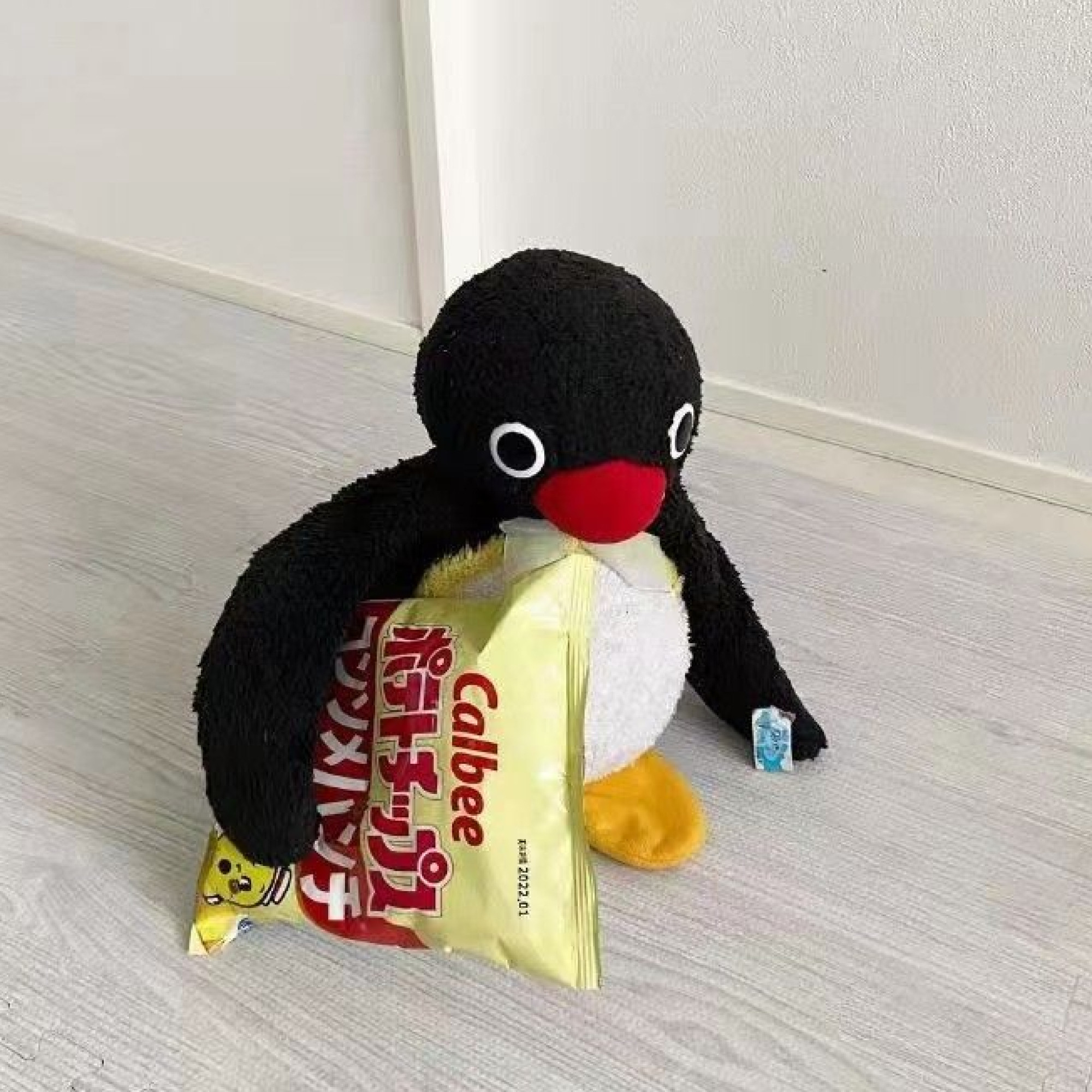 贪吃pingu🐧