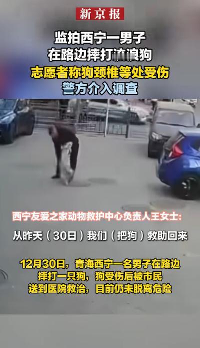 “必须严惩！”青海一男子出门遛狗，不料，狗子却趁他不注意，偷偷和一只流浪狗交配，