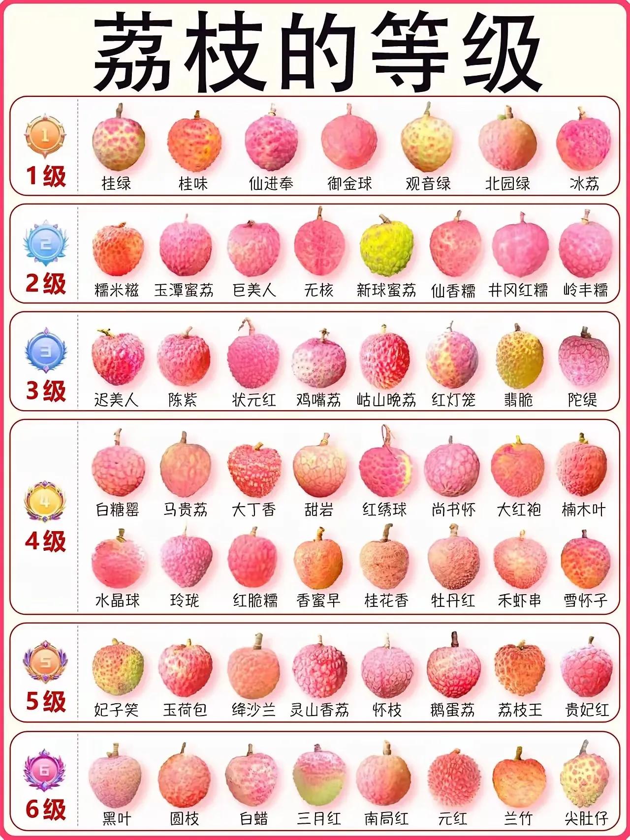 没有想到，荔枝还有如此的三六九等的等级之分。闻名遐迩的妃子笑才是5级，最等级是桂