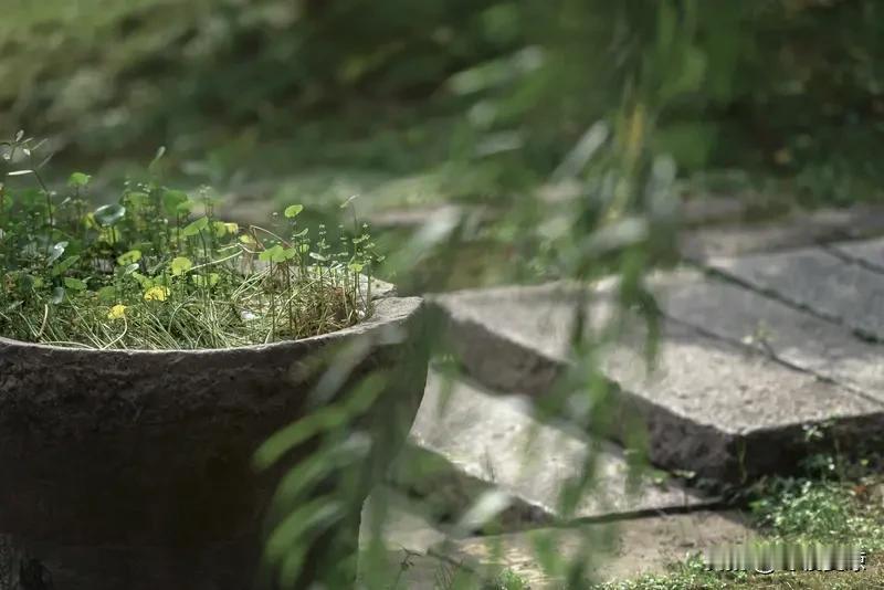 看到“一山一水一风景”这个上联，感觉充满了自然的意境。有人对“一饮一啄一人生”，