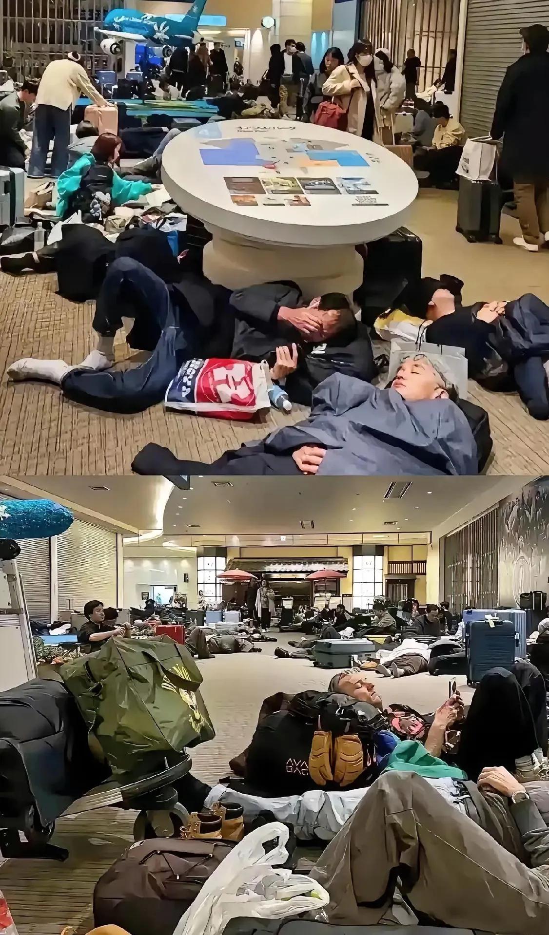 笑不活了！樱花游变滞留记！各路旅行团扯着“樱花最后几天”疯狂催单，中介心里门清