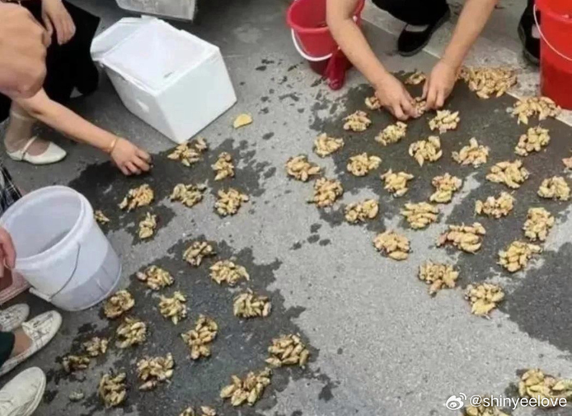 这富裕程度让我羡慕不已