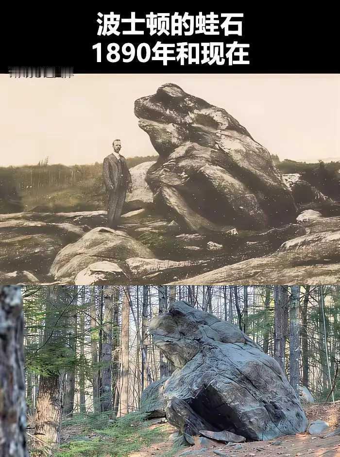 充分说明了人走石在