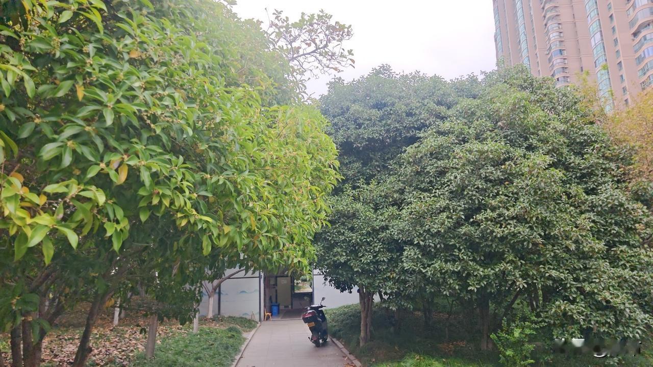 到了杭州，每天除了做饭，写字，就是去钱塘江边散步，日子无聊的很。找工作的心蠢蠢