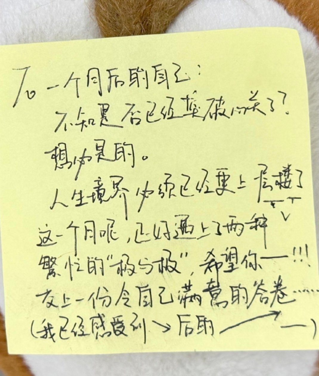 杨博文的生日便利贴🤲🏻薄薄你是最棒的！To一个月后的自己：不知是否已经突破心
