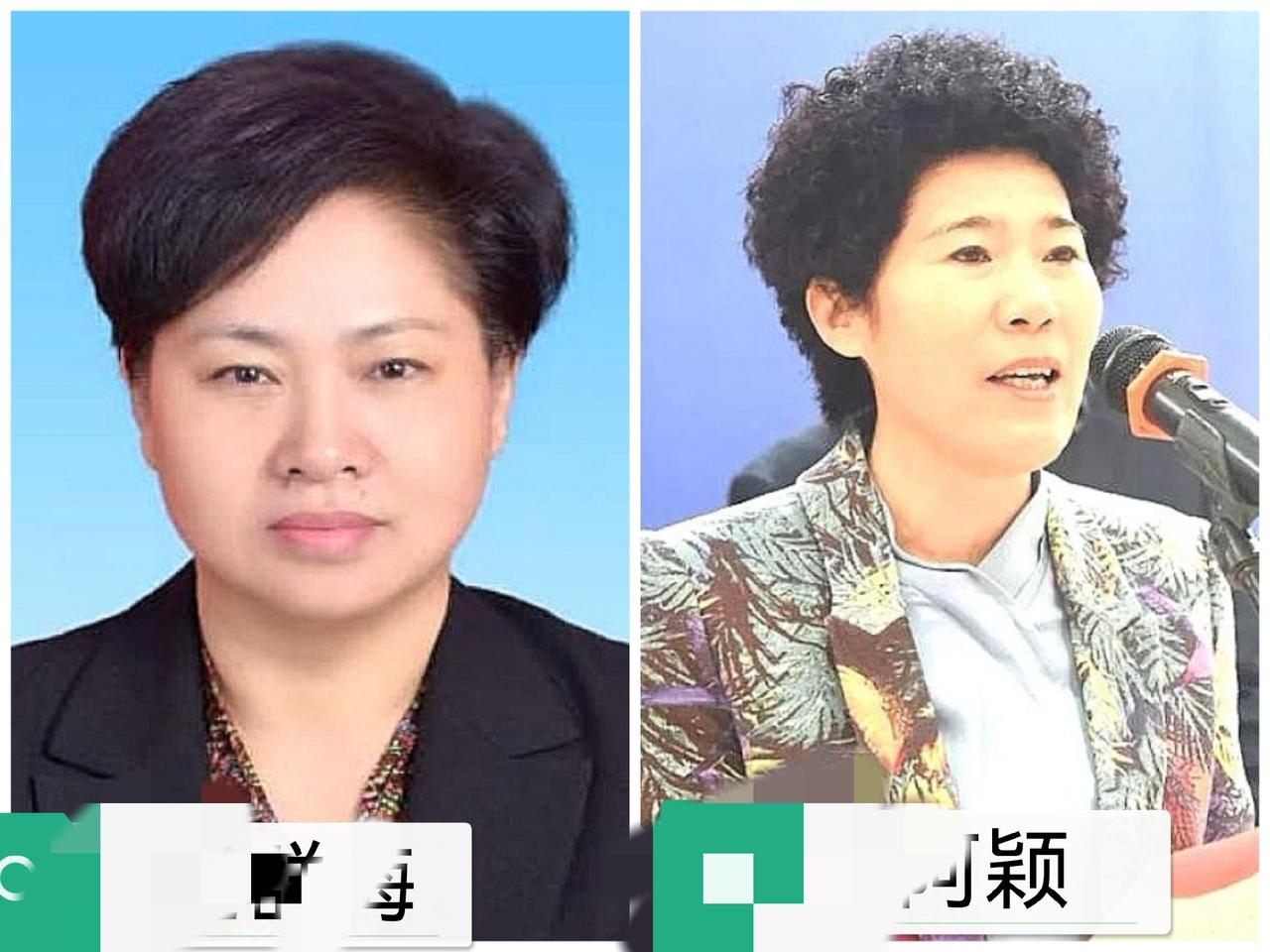 南阳市，2个长期分管文教卫的原上下级，相隔一个半月，相继官宣！丹丹姐说过，女