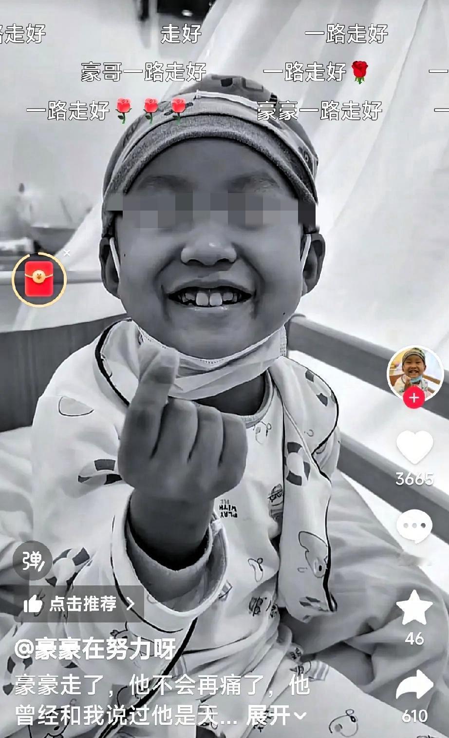 天呐！哭死！豪豪妈妈发视频说豪豪去世了，27日凌晨去世的！从医生委婉劝放弃治