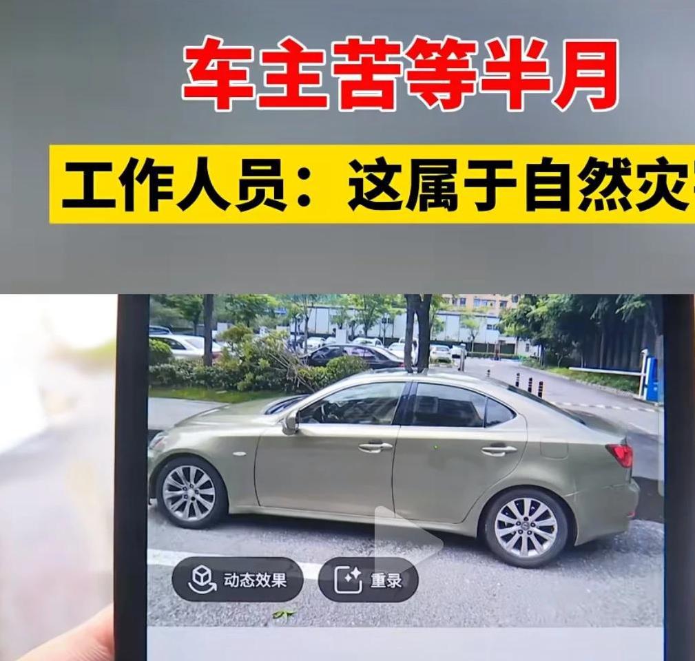 据1818黄金眼7月11日报道，一场大雨过后，浙江诸暨的孙先生遭遇了意想不到的烦