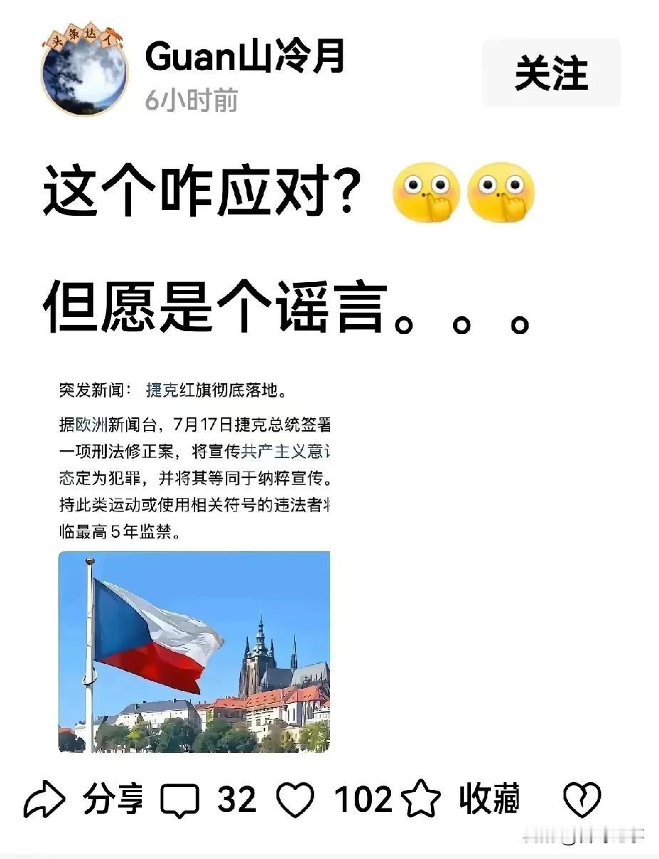 张维为教授及其团队急需奔赴捷克，要将其中国文化及中国模式，中国发展及共产主义思想