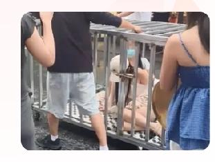 “两名女子被关在铁笼里面游街示众”官方通报处理结果，真的是大快人心。这两天一