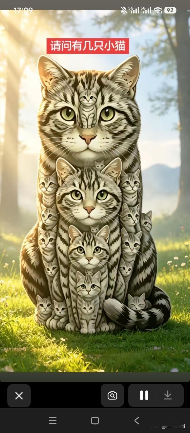 数猫猫，越数越有兴趣，数了半天也不累，那么图中到底有多少只猫呢？有人说7只，有人