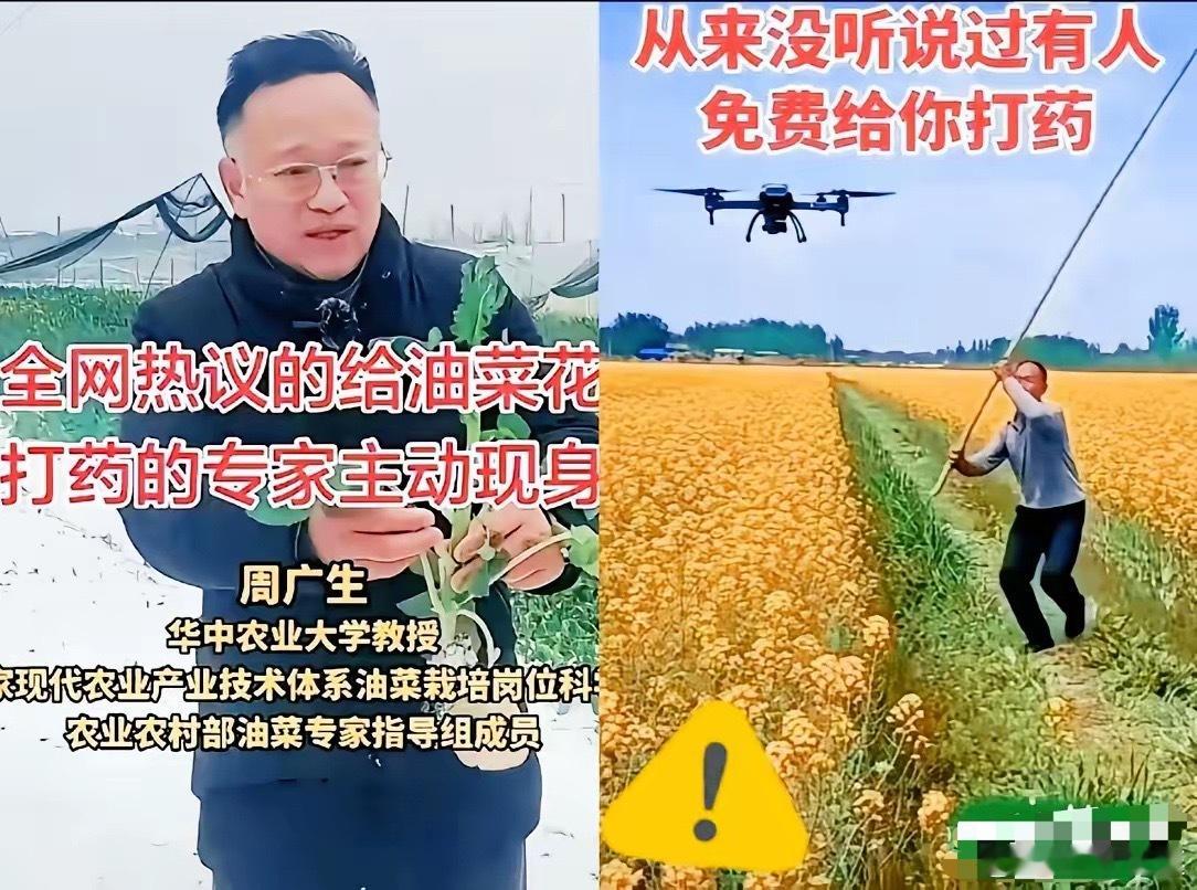 今天看到个让人两眼一黑的奇葩建议。提议给油菜花大面积猛灌农药的那个专家，这回算是