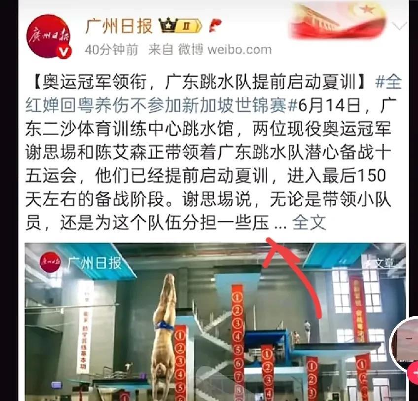 这次世锦赛全红婵不参加，又网友说：慢慢地慢慢地就把婵宝换下来，找人代替了呗，就上