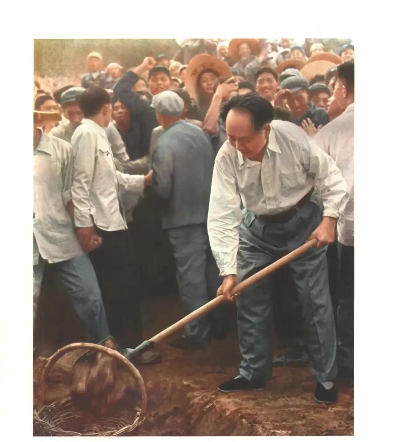 毛主席早就指出：“土，肥，水，种，密，保，管，工”是农业获得丰收的根本。毛主席对