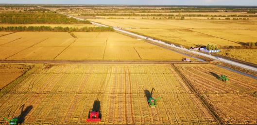 如果全球都停止出口粮食，中国能否自给自足？就这么说吧，中国停止粮食供应，全球至少