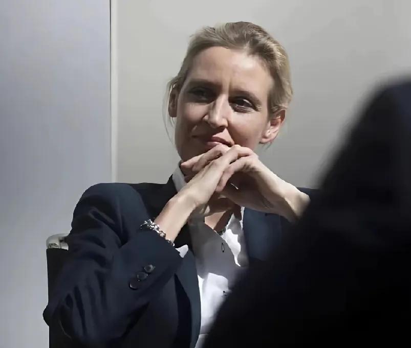 魏德尔再一次输给墨茨，但她也并不全无收获，终于有德国政党愿打破防火墙，与她站在统