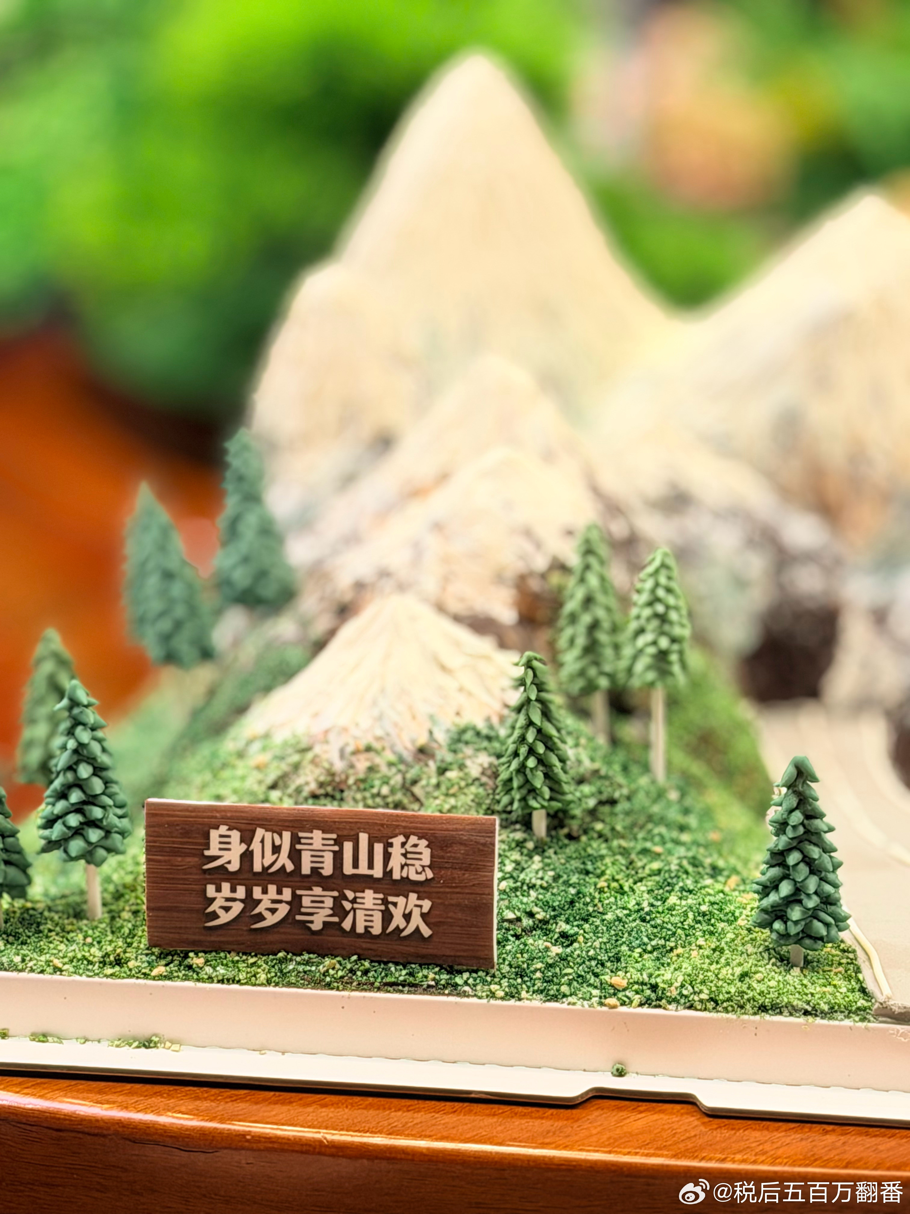 前几天和我姐商量，中午我们家不是要出去吃饭嘛，我怂恿她高铁过来吃个中饭，她心动了，立刻买好了往返票，