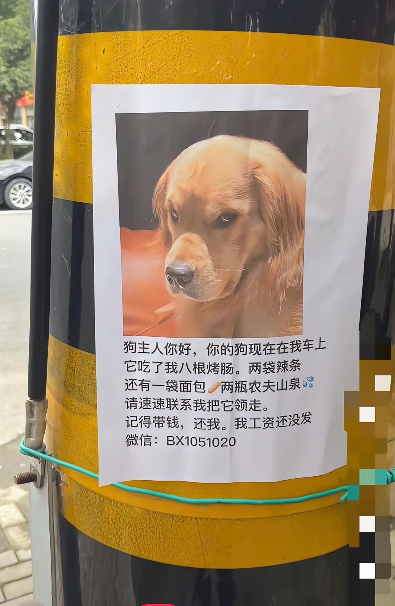 看这狗的眼神异常的凶悍估计经常吃霸王餐吧？[笑着哭]