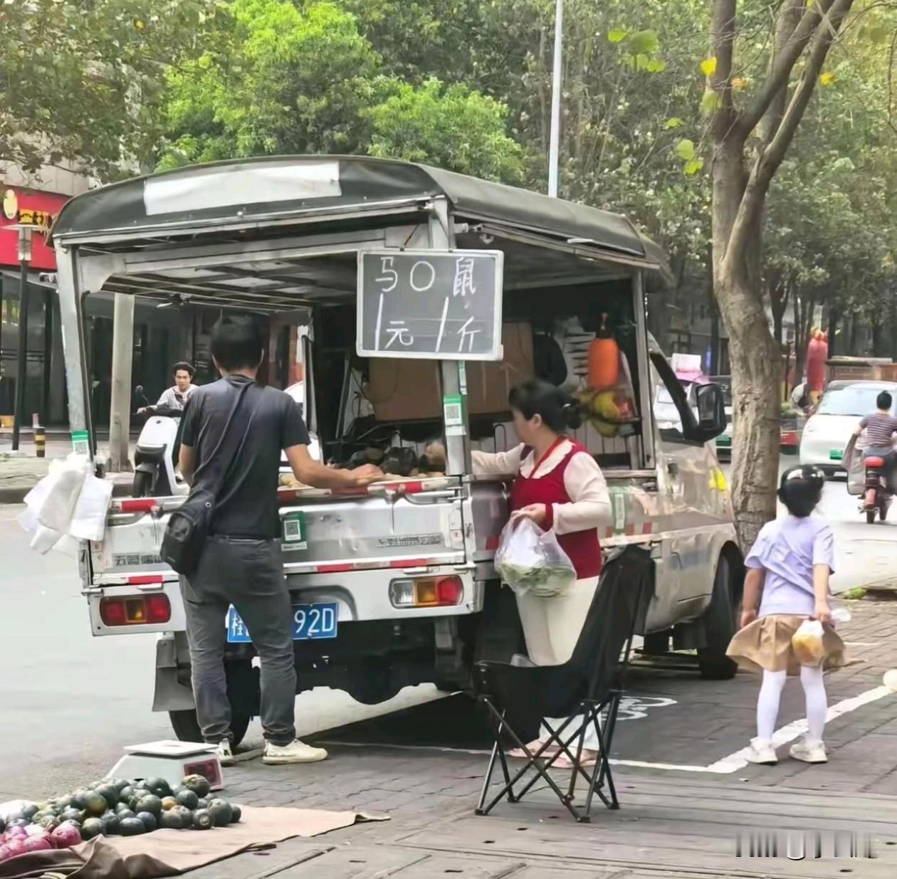 马o薯是什么