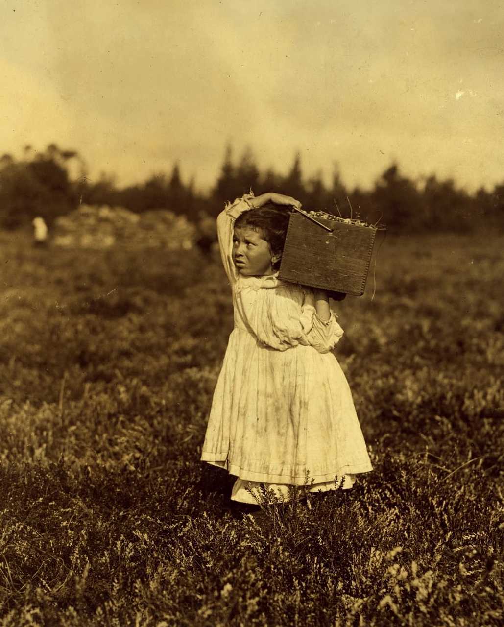 【来自投稿】1890-1905年世界各国普遍都用童工，他们中很多只有6-12岁