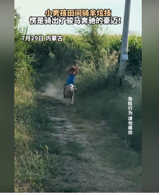 笑不活了，家长晒出，一男孩骑着自家羊奔驰回家的一幕，不但孩子骑技了得，期间将羊骑