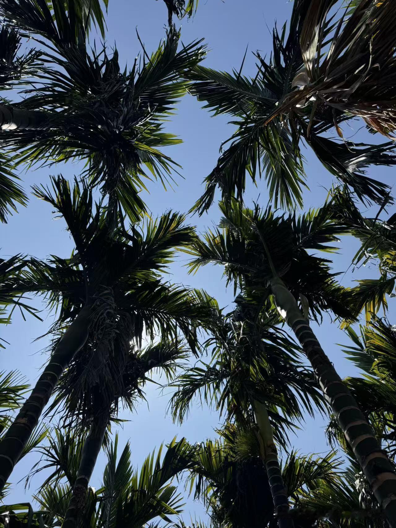 今天刷到一句话，瞬间戳中了我：“很多人穷极一生积蓄买了房买了车，却依旧觉得人生