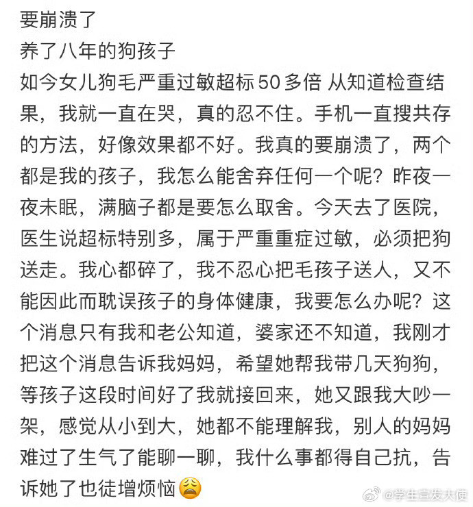 要崩溃了，养了八年的狗孩子，如今女儿狗毛严重过敏超标50多倍​​​