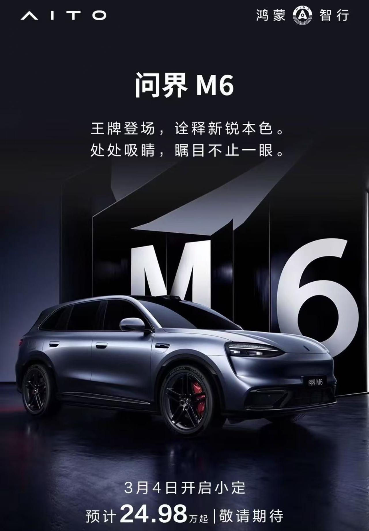 问界M6预售24.98万起？有一说一，这个银灰色的海报配上红色的卡钳