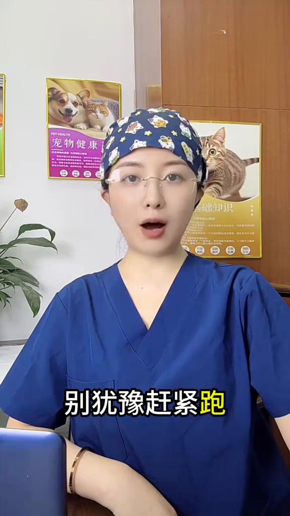 猫咪尾巴大幅度摇尾巴赶快跑。如果猫咪突然大幅度的摇尾巴，别犹豫赶紧跑，不然麻烦