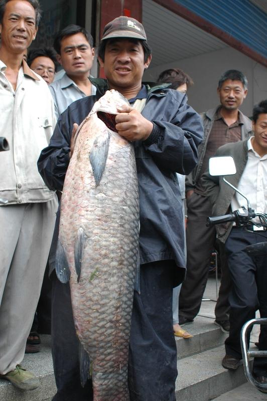 太离谱了，湖南益阳南县一名54岁男子夜钓时竟被当猎物遭枪击。10月8日晚，他钓鱼