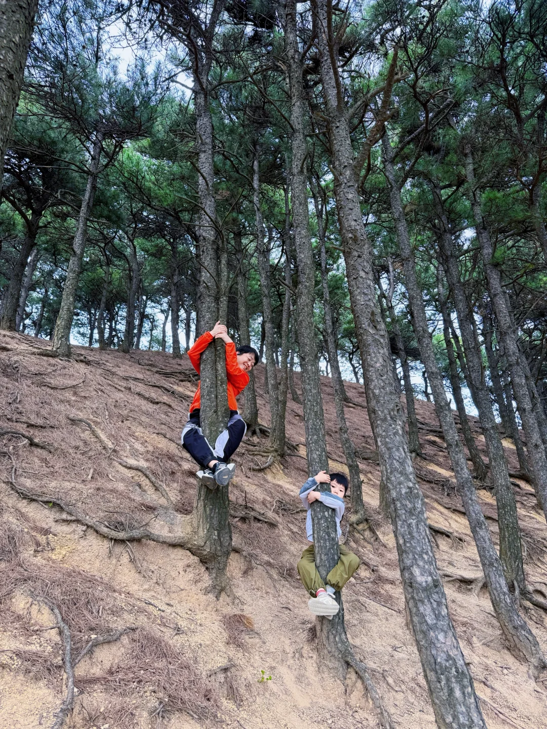 西安亲子徒步‼️充满野趣且轻松不费腿路线！