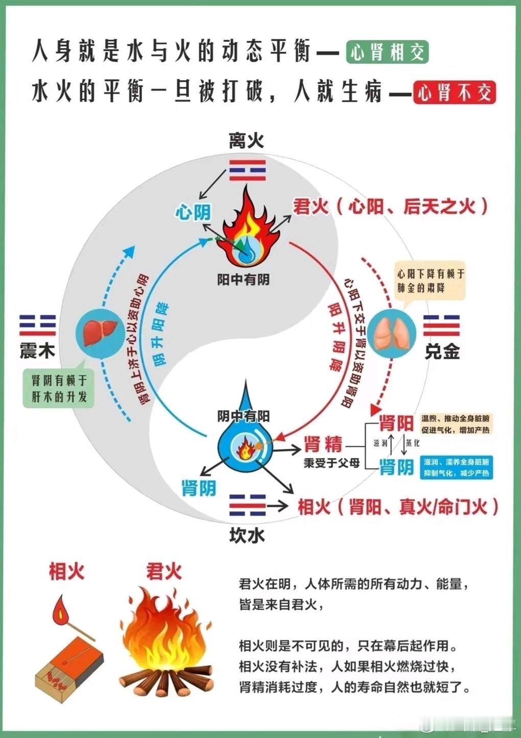 为什么阳虚久了会阴虚，阴虚久了会阳虚？很多人都不懂！不少人调理身体时都会疑惑：“