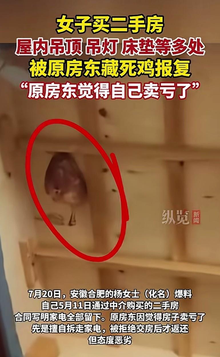 玩不起？安徽合肥，女子通过中介买了套二手房，可等她拿到钥匙进屋后，却发现屋里一阵