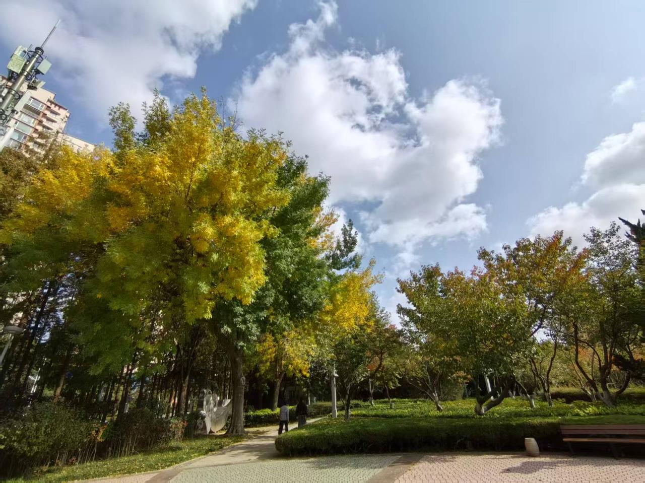 年轻人，真没必要在老年人面前趾高气昂！有个年纪比我还大一点的老同事，做材料的