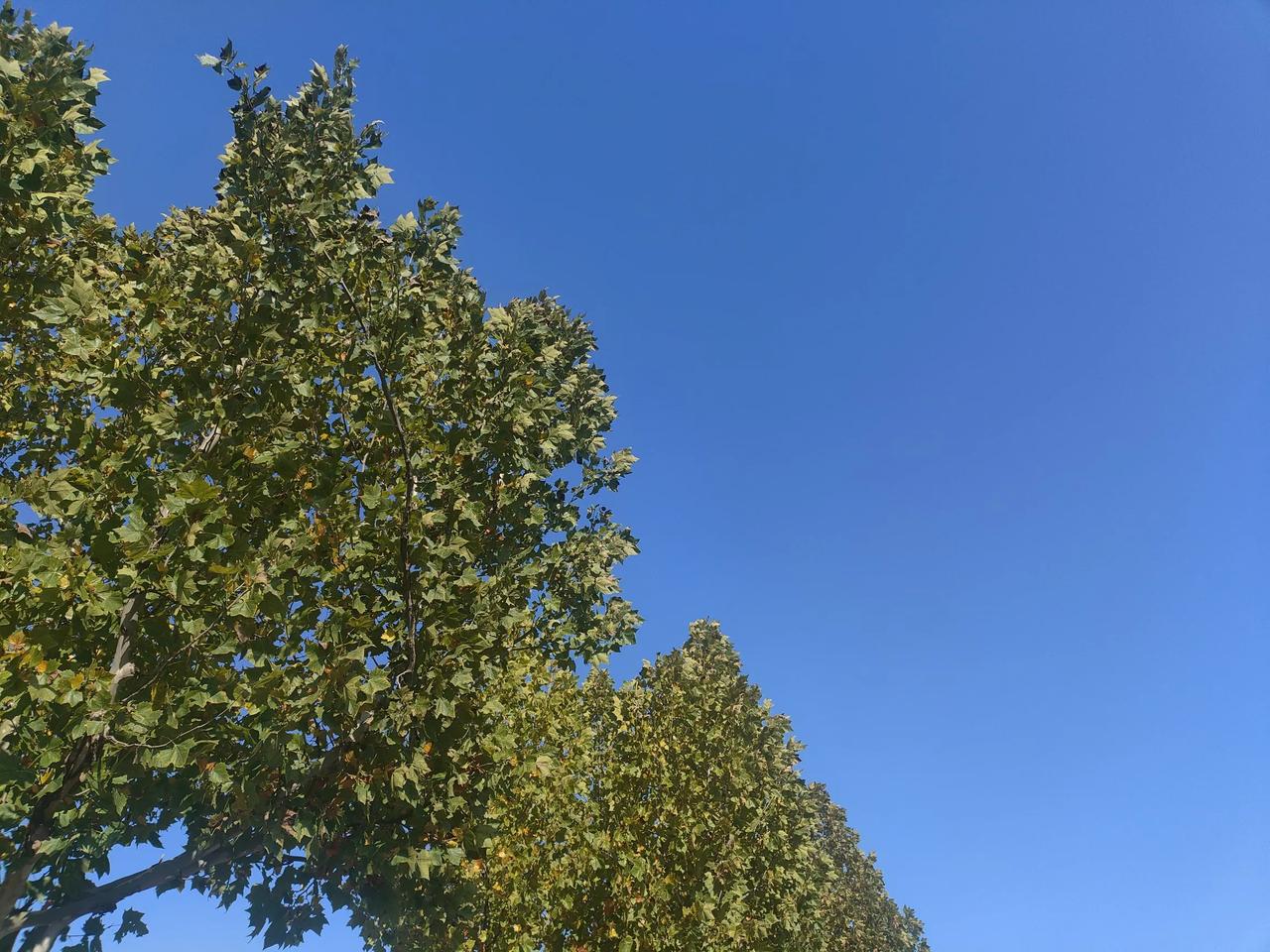 大学高中化，说明我们的孩子只适合高中大学为什么高中化，就是因为很多孩子已经适应