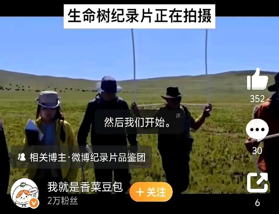 杨紫在海拔4000米蹲守半年，只为拍一部不赚钱的纪录片。央视九频道把《生命树》