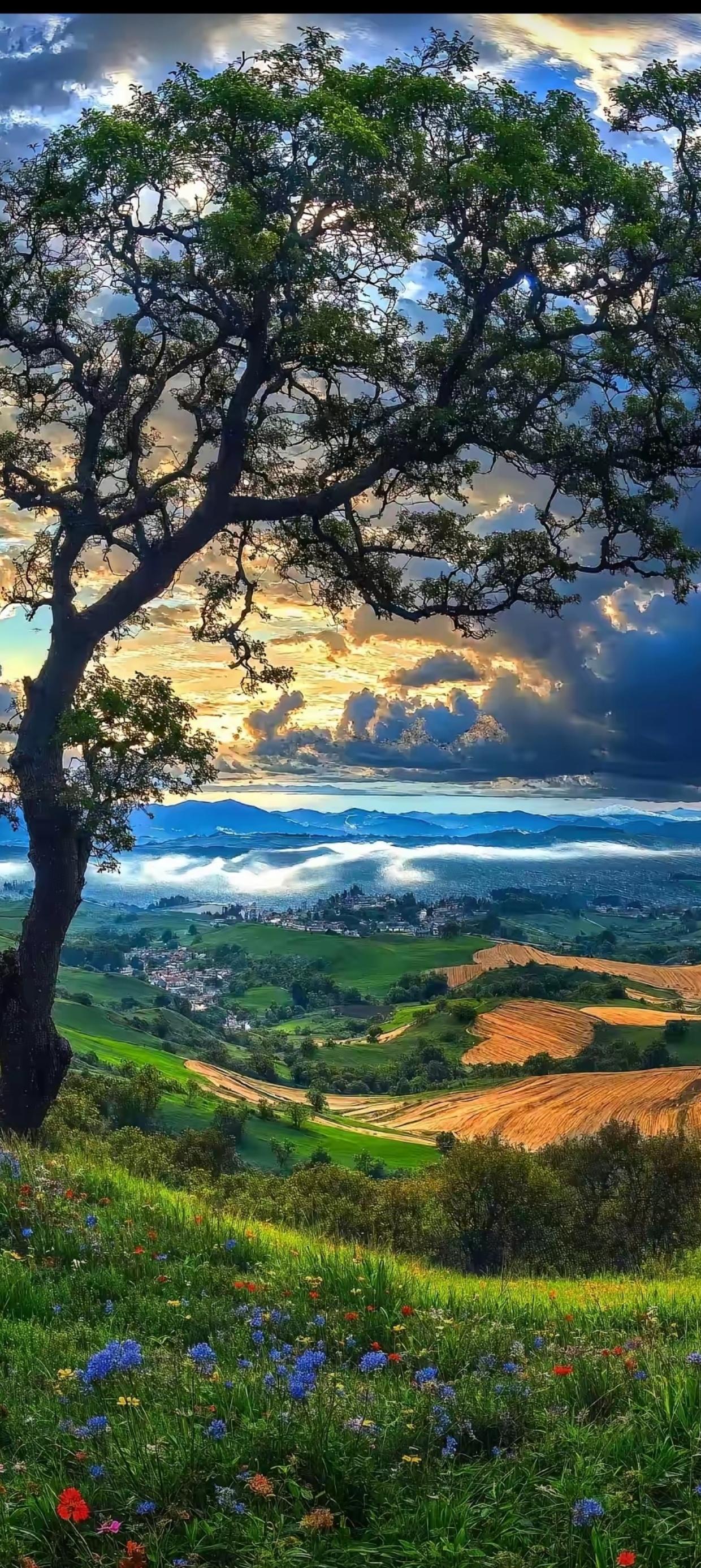 我相册里的美景可太多啦！有大鹏湾那绝美的画面，粼粼碧海之上，舟如丸般在水面漂浮，