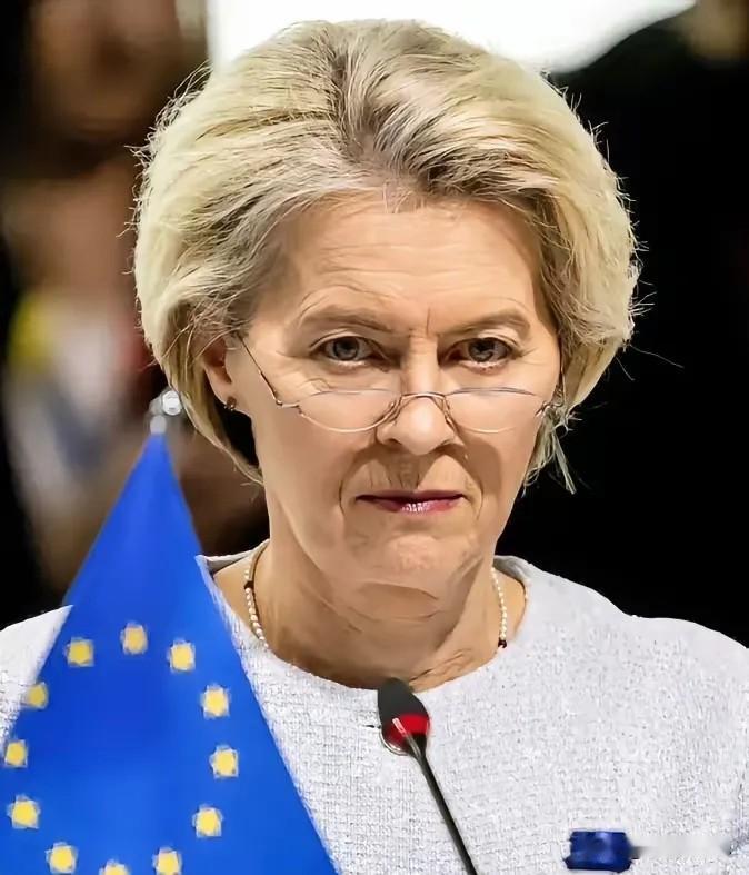 欧洲车企复兴梦碎：中国电动车以低价与技术碾压，欧盟政策彻底失效！