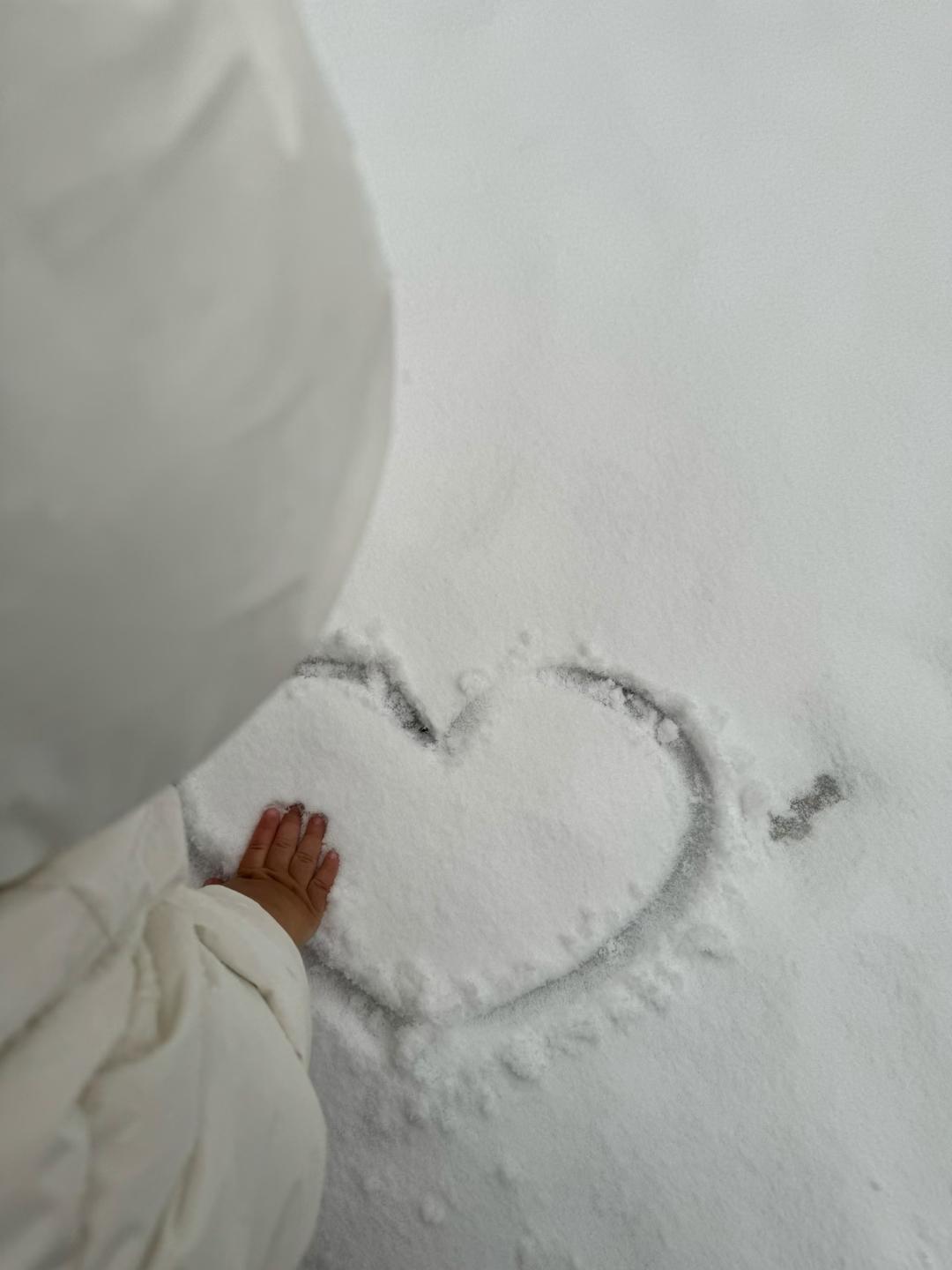 石家庄的雪如约而至！九点，我把包子放进蒸锅热一热，白菜肉馅的大包子是儿子点的，知
