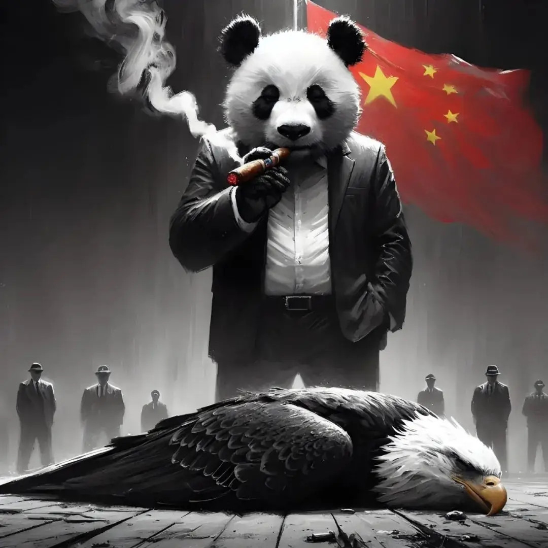 印度和巴基斯坦的这场战争才刚刚开始，却让中国成了焦点。巴基斯坦从总理到普通老百