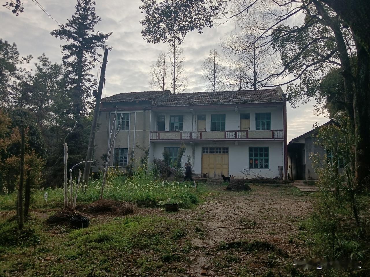 72岁退休局长隐居孤岛11年：是清心寡欲，还是另有隐情？72岁的贺良楚是湖