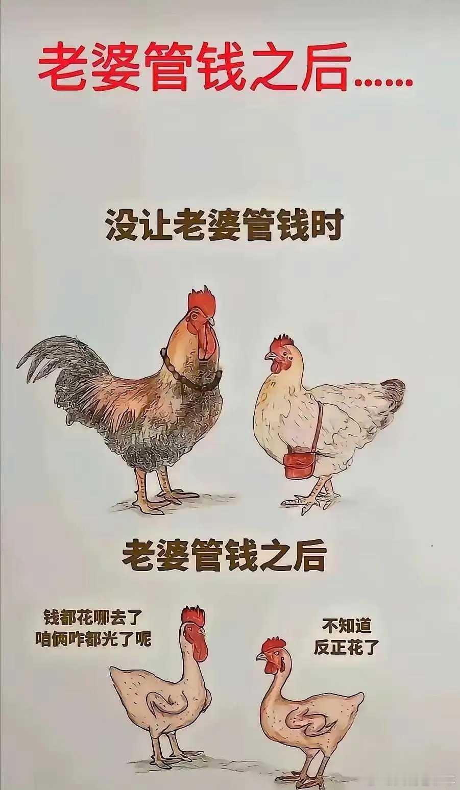 情感说的居然还有点道理，我竟一时无法反驳​​​