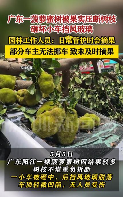 “冤不冤！”5月5日，广东阳江，一辆轿车停在路边突然被砸，后挡风玻璃全部碎裂，而