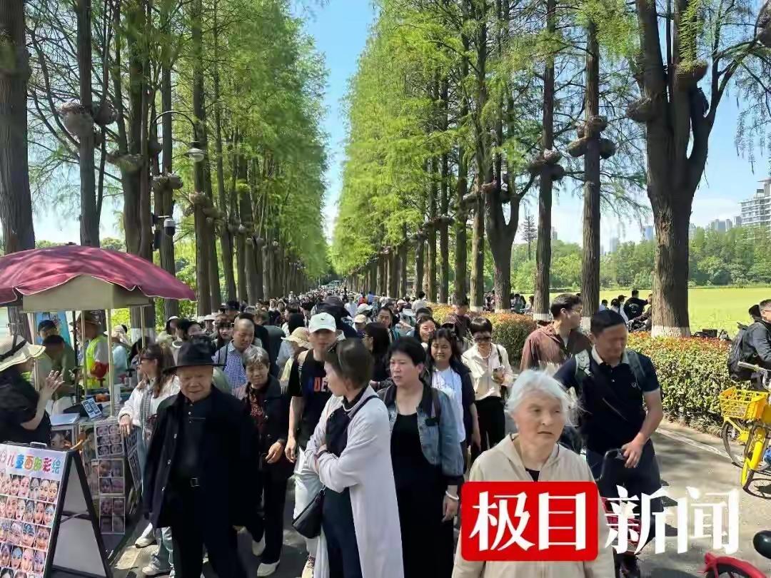 “大部队”已抵达！这是此刻的武汉五一假期刚启幕，全国游客“大部队”已蜂拥而